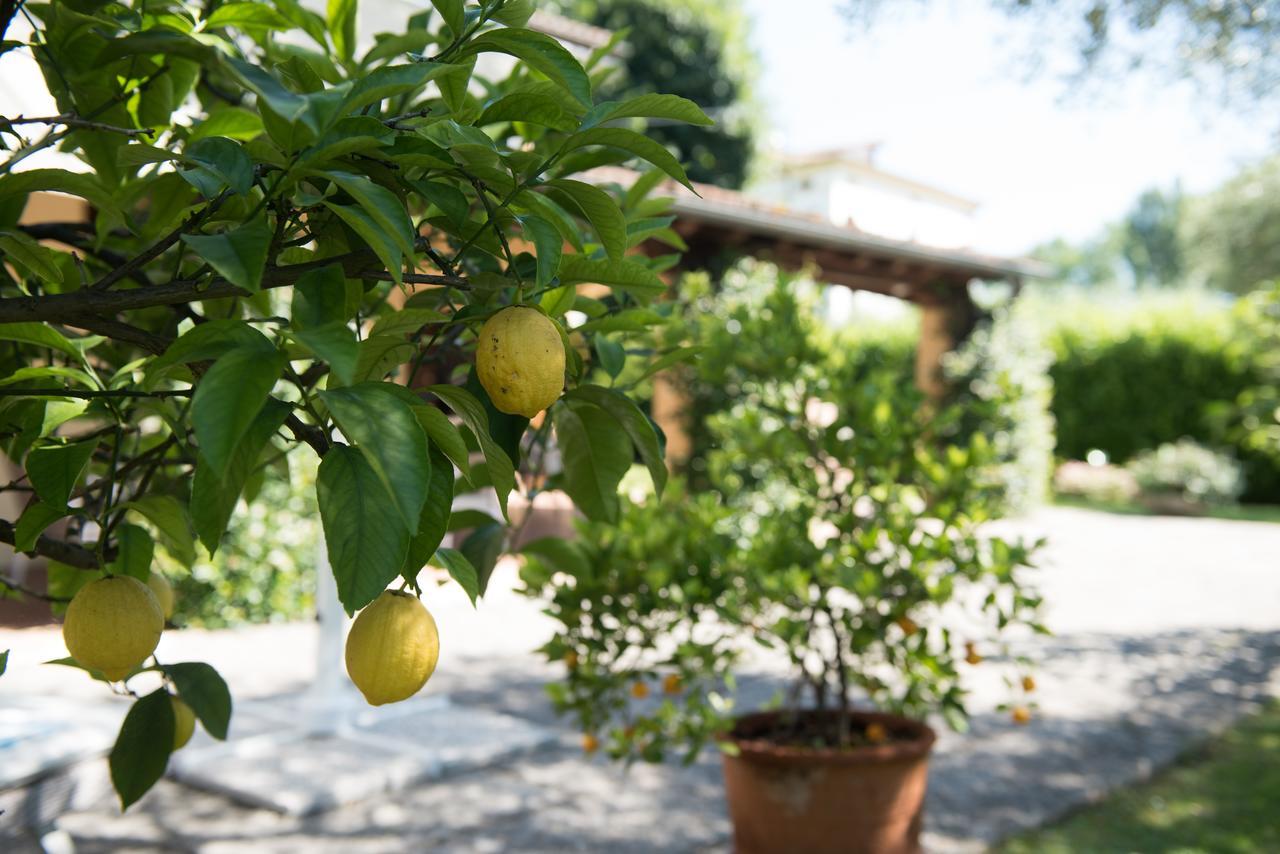 Le Tre Querce B&B Romano D'Ezzelino Dış mekan fotoğraf