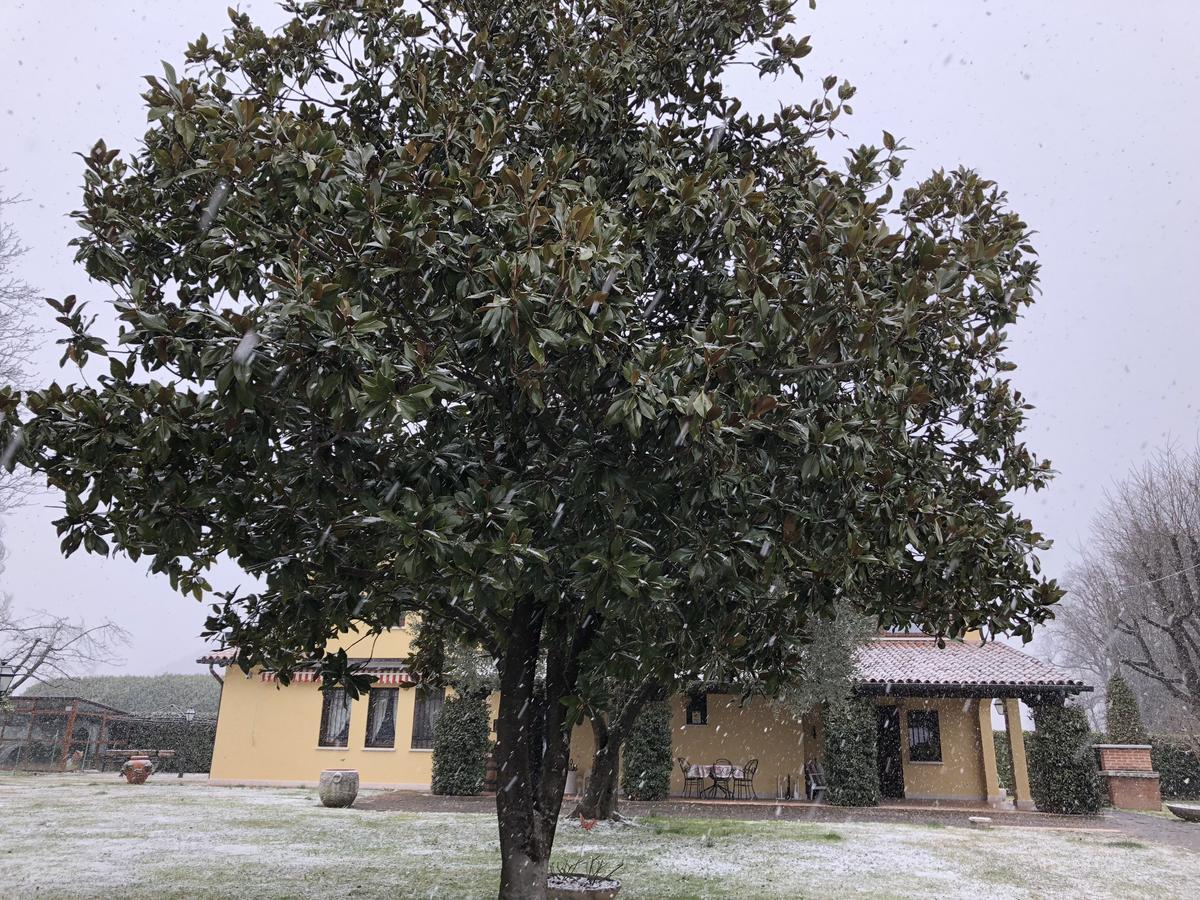 Le Tre Querce B&B Romano D'Ezzelino Dış mekan fotoğraf